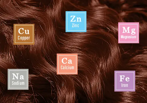 Hair Mineral Analysis to Identify Mineral Imbalances