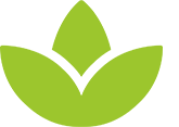 Benefits of a Wellness Retreat